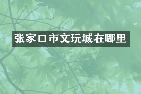 张家口市文玩城在哪里