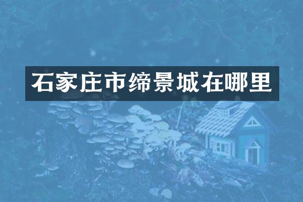 石家庄市缔景城在哪里