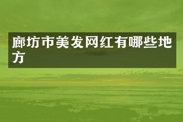 廊坊市美发网红有哪些地方