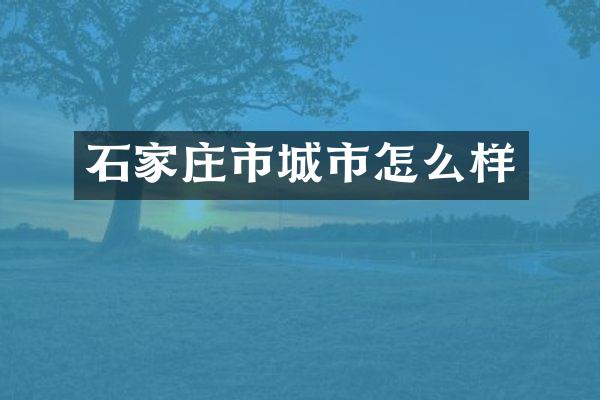 石家庄市城市怎么样