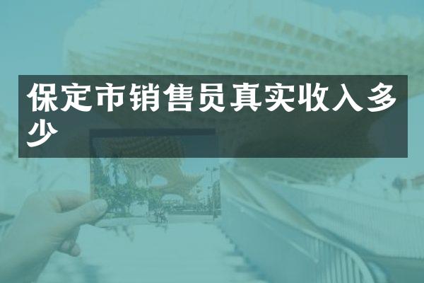 保定市销售员真实收入多少