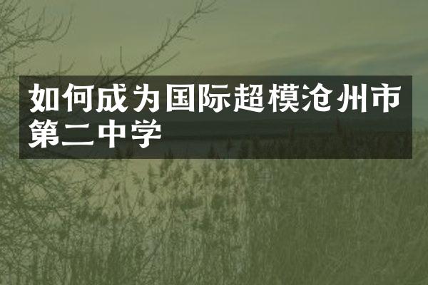 如何成为国际超模沧州市第二中学