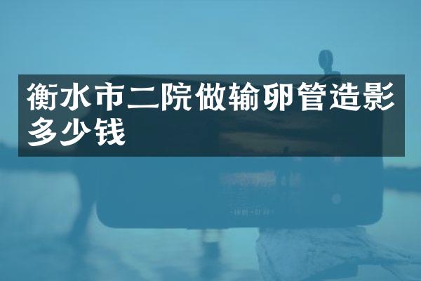 衡水市二院做输卵管造影多少钱