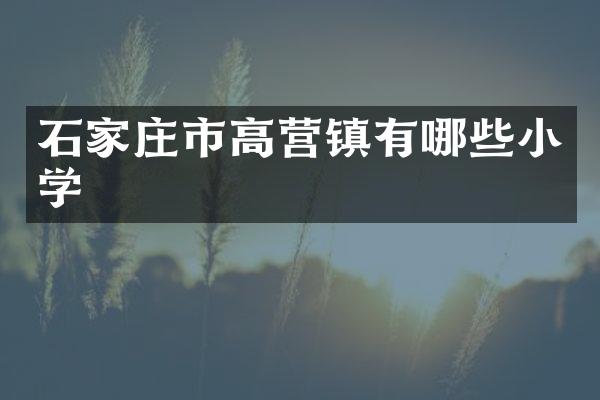石家庄市高营镇有哪些小学