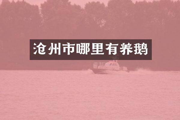 沧州市哪里有养鹅