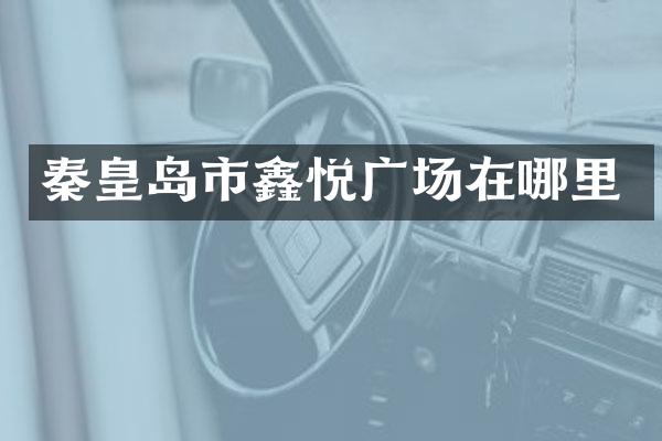秦皇岛市鑫悦广场在哪里