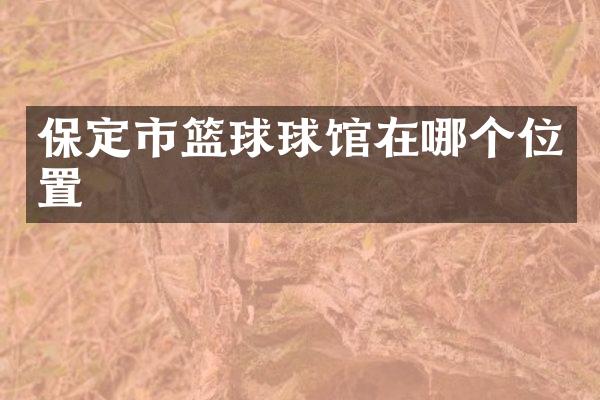 保定市篮球球馆在哪个位置