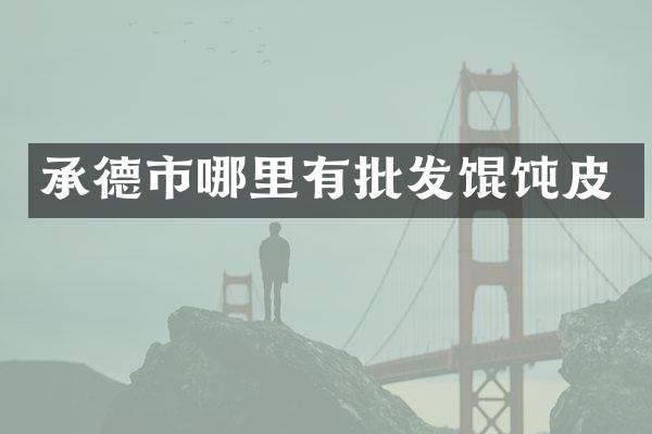 承德市哪里有批发馄饨皮
