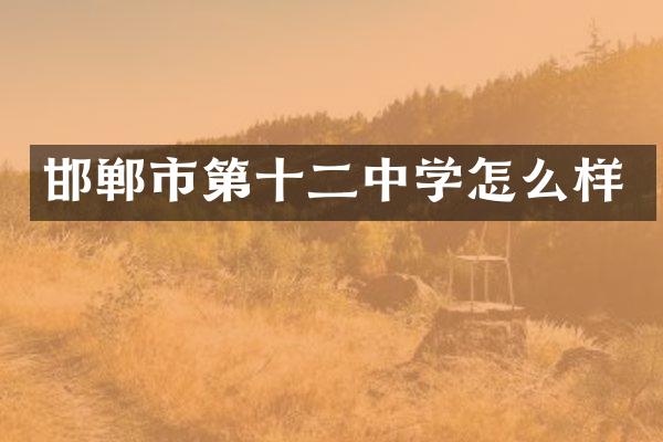 邯郸市第十二中学怎么样