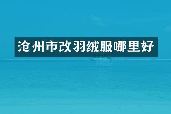 沧州市改羽绒服哪里好