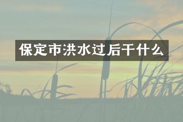 保定市洪水过后干什么