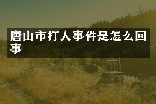 唐山市打人事件是怎么回事