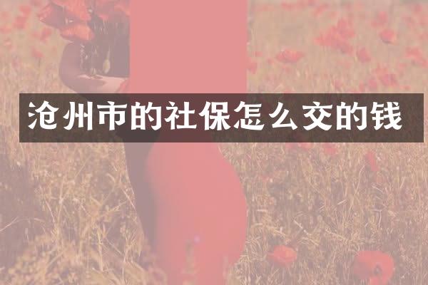 沧州市的社保怎么交的钱