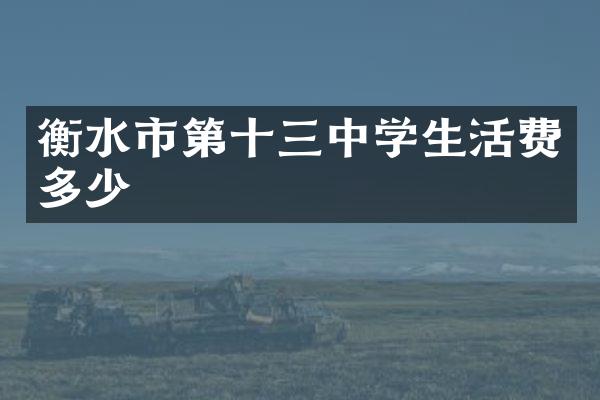 衡水市第十三中学生活费多少