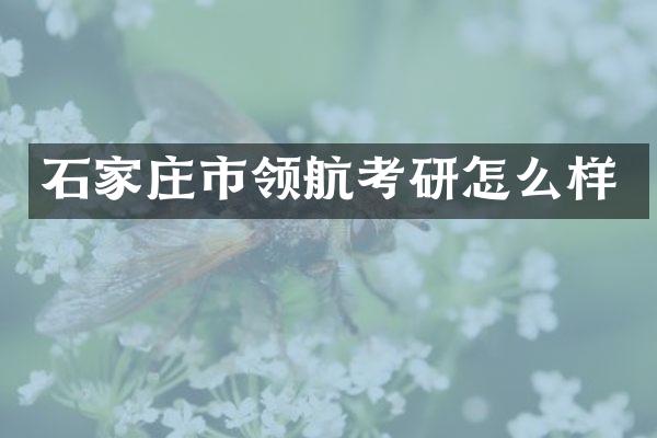 石家庄市领航考研怎么样