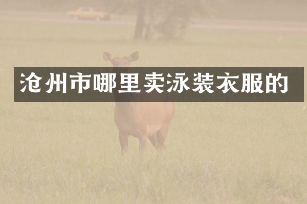 沧州市哪里卖泳装衣服的