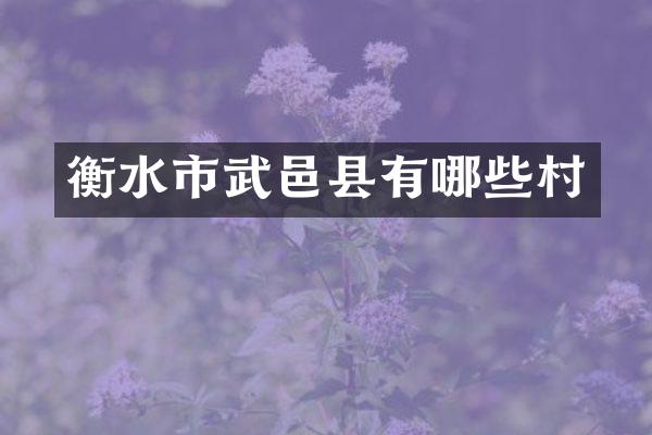 衡水市武邑县有哪些村