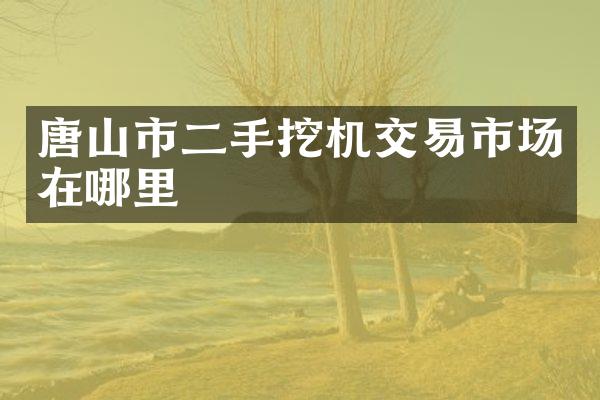 唐山市二手挖机交易市场在哪里