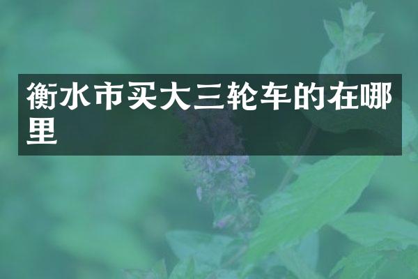 衡水市买大三轮车的在哪里