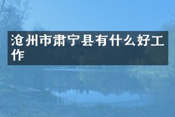 沧州市肃宁县有什么好工作