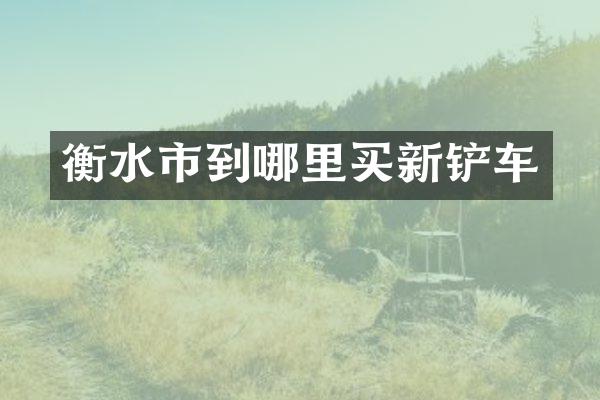 衡水市到哪里买新铲车