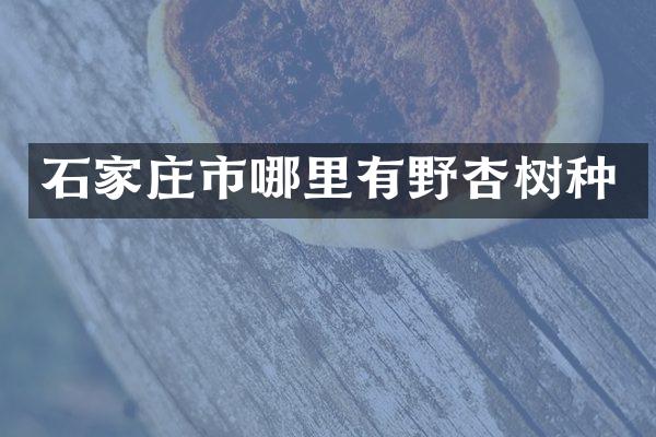 石家庄市哪里有野杏树种