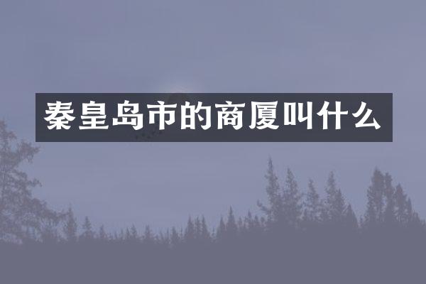 秦皇岛市的商厦叫什么
