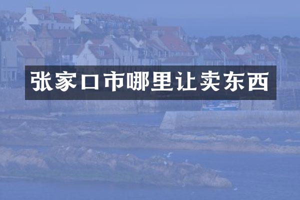 张家口市哪里让卖东西