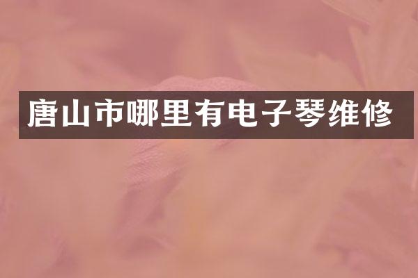 唐山市哪里有电子琴维修