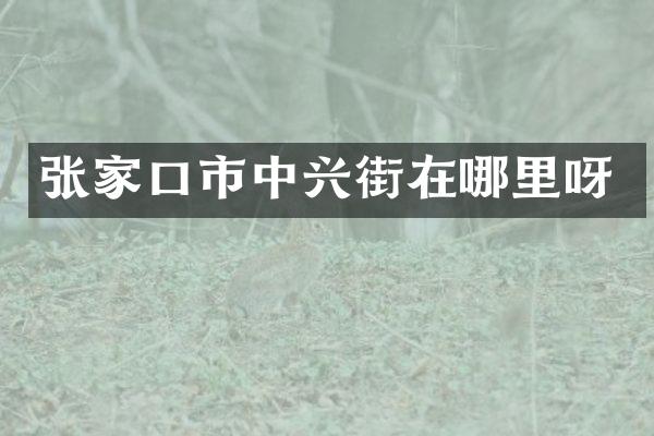 张家口市中兴街在哪里呀