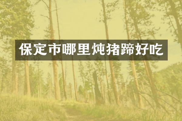 保定市哪里炖猪蹄好吃