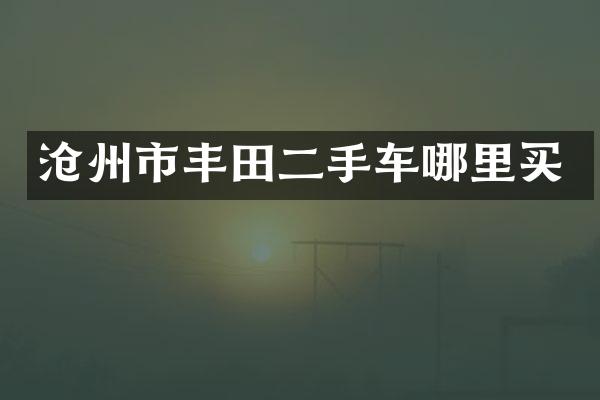 沧州市丰田二手车哪里买
