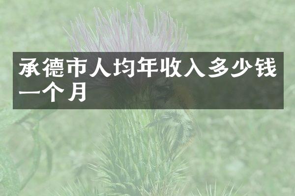 承德市人均年收入多少钱一个月