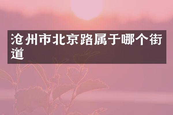 沧州市北京路属于哪个街道