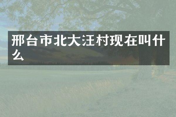 邢台市北大汪村现在叫什么