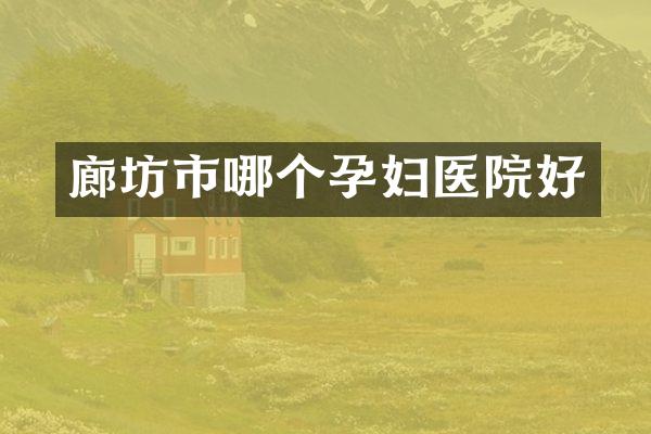 廊坊市哪个孕妇医院好