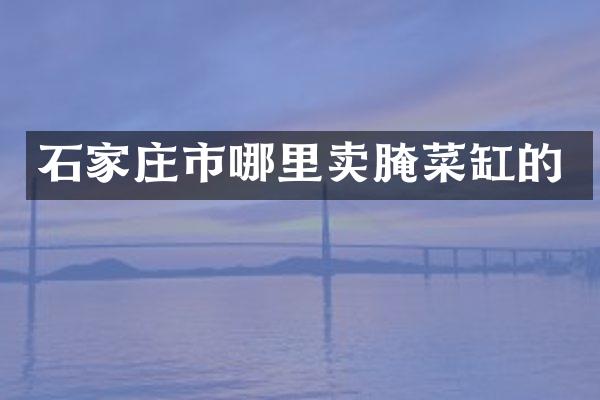 石家庄市哪里卖腌菜缸的