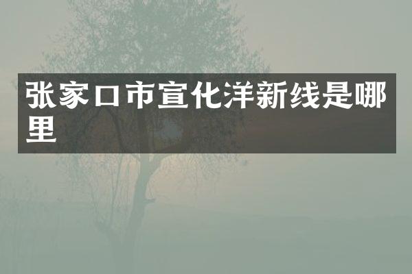 张家口市宣化洋新线是哪里