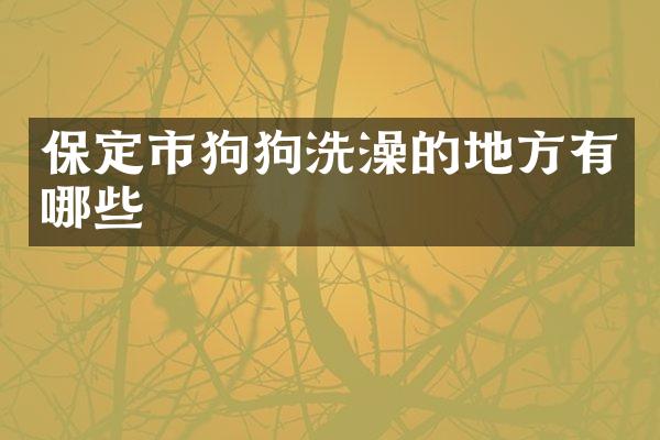 保定市狗狗洗澡的地方有哪些