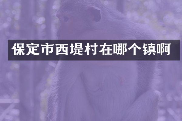 保定市西堤村在哪个镇啊