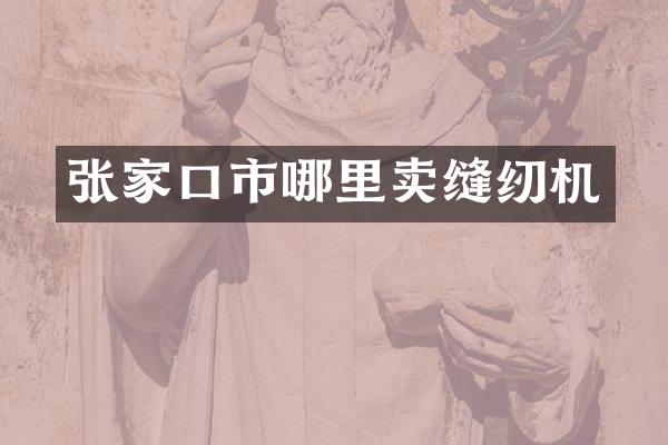 张家口市哪里卖缝纫机