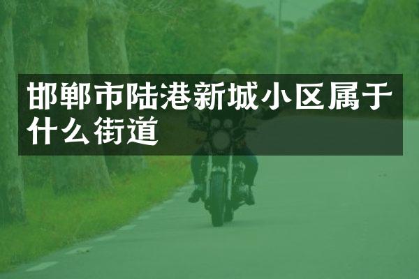 邯郸市陆港新城小区属于什么街道