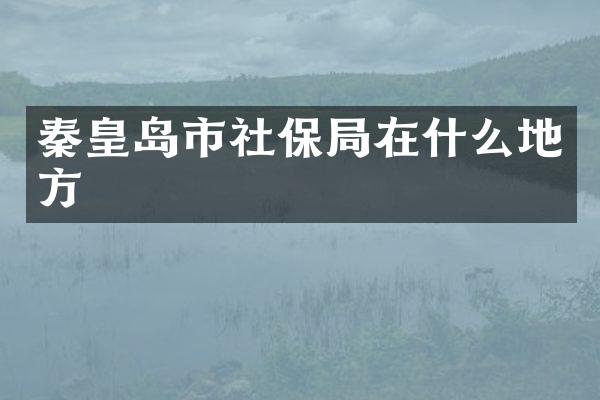 秦皇岛市社保局在什么地方