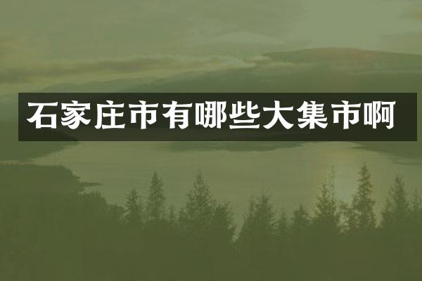 石家庄市有哪些大集市啊
