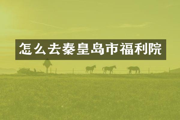 怎么去秦皇岛市福利院