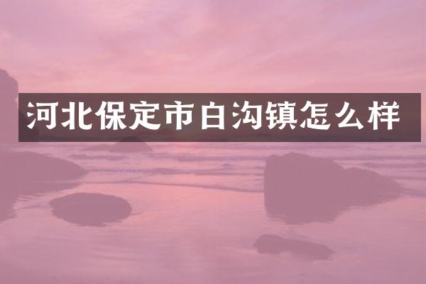 河北保定市白沟镇怎么样