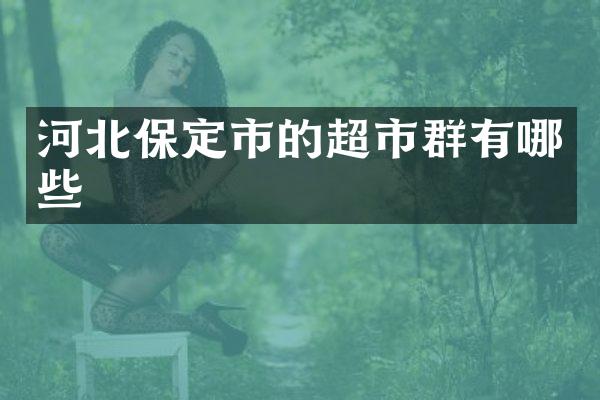 河北保定市的超市群有哪些
