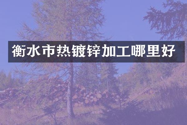 衡水市热镀锌加工哪里好