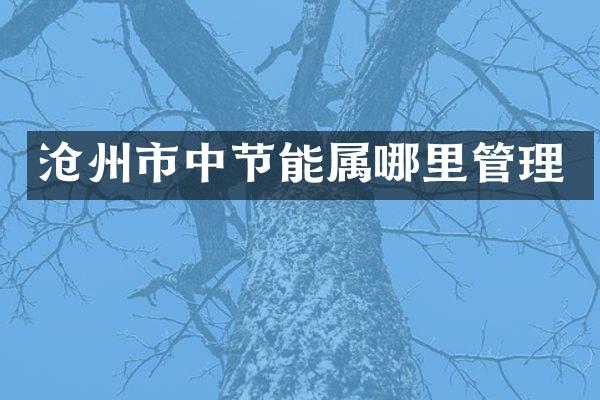 沧州市中节能属哪里管理