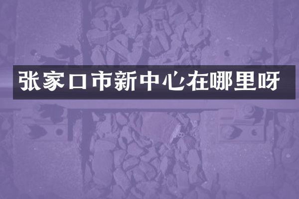张家口市新中心在哪里呀